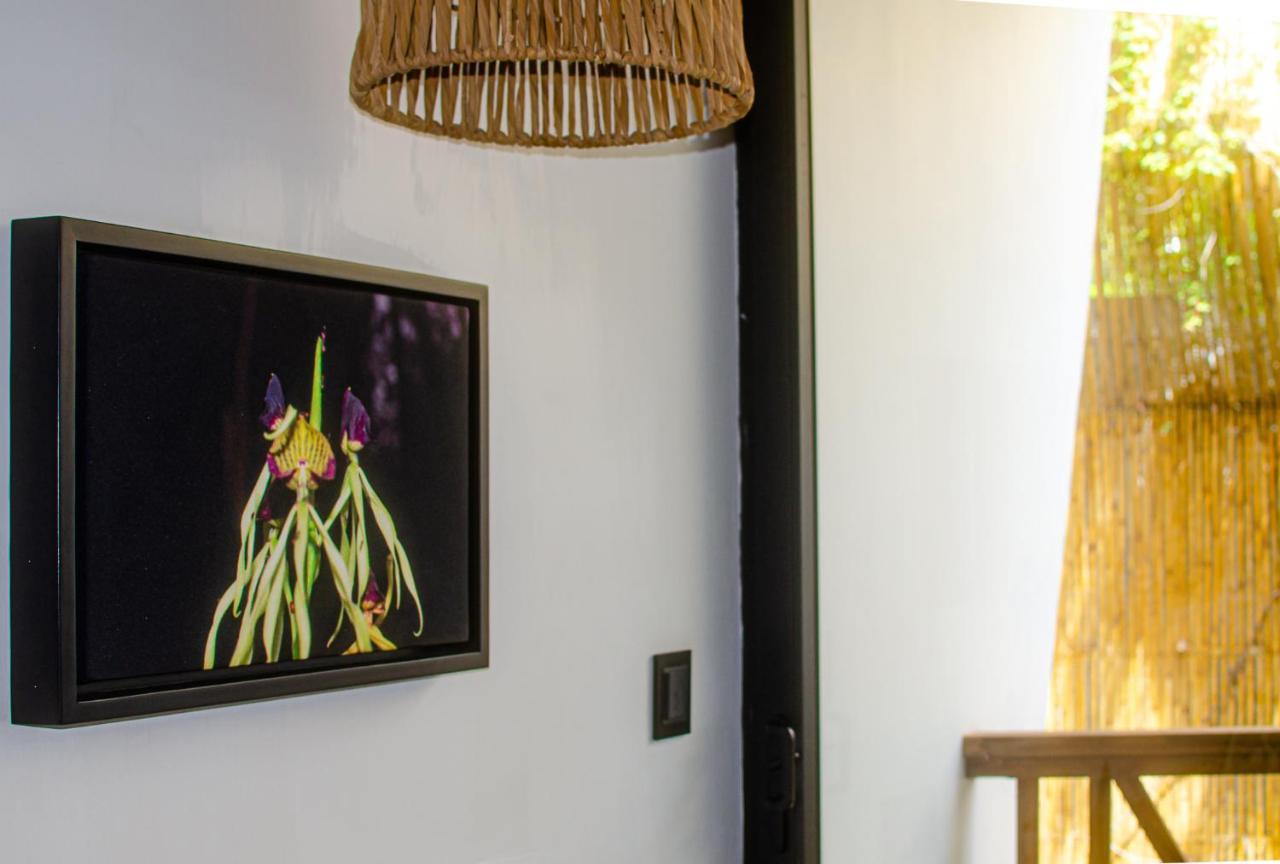 Ximena Hotel Boutique ซายูลิตา ภายนอก รูปภาพ